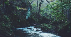 Cẩm nang du lịch Phước Hải Bà Rịa Vũng Tàu 2026