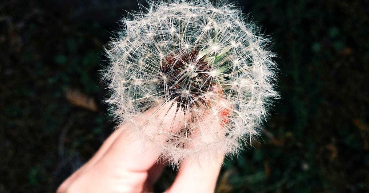 Thổ Địa mách top các quán ăn ngon tại Vũng Tàu mới nhất 2026