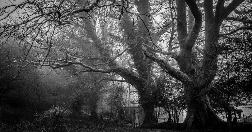 Vũng Tàu chơi gì: Top địa điểm vui chơi và kinh nghiệm du lịch 2026